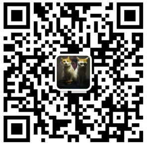 wechat 70838016